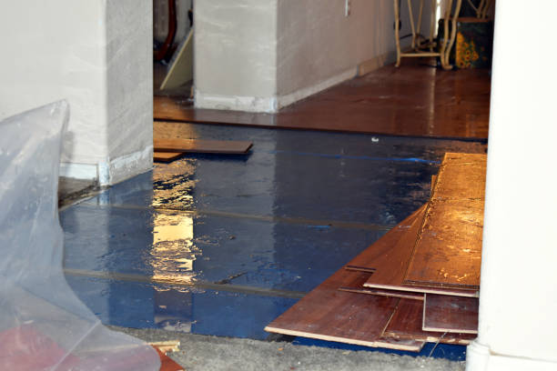Professional Flood Damage Restoration technician working in Ayr, ND